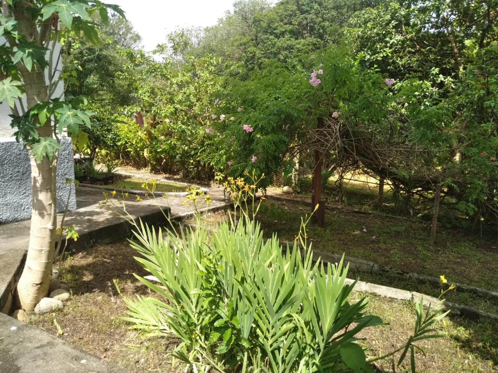 فيلا Casa Delicia Em Passa Quatro Ate 6 Pessoas المظهر الخارجي الصورة